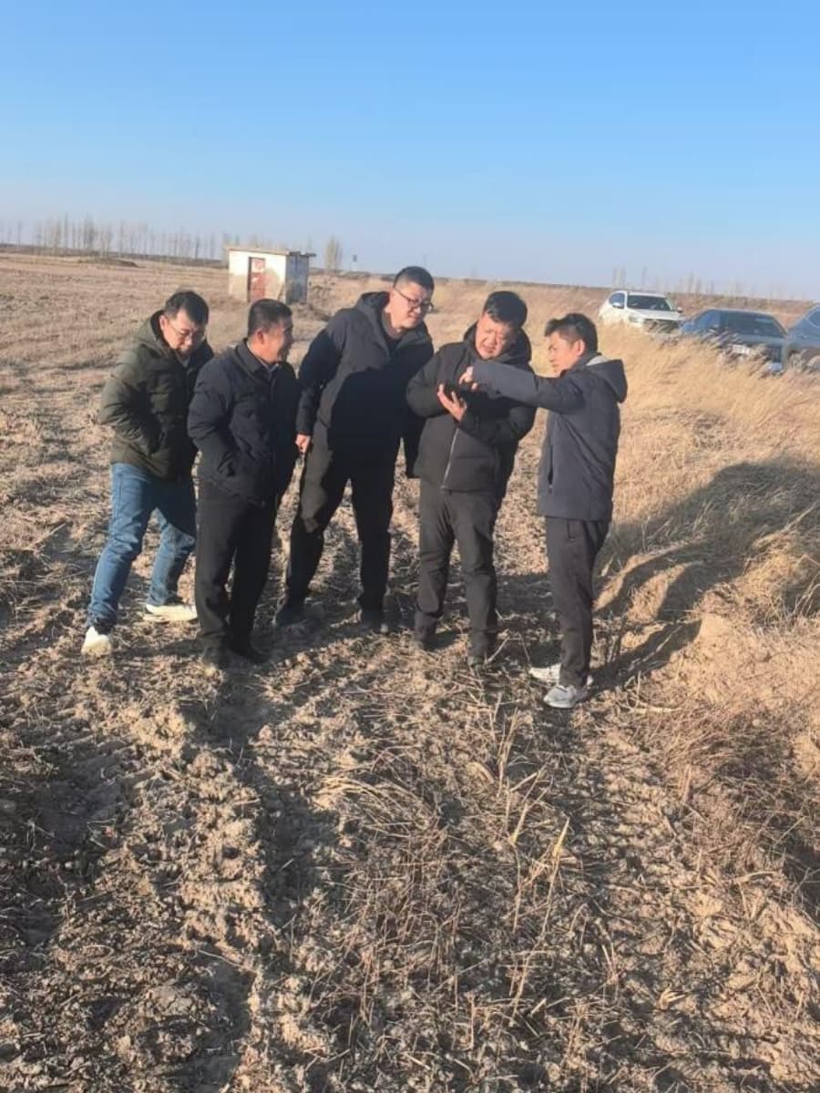 La société HWYAA organise un échange technique sur l'irrigation goutte à goutte à Jungar Banner, en Mongolie intérieure