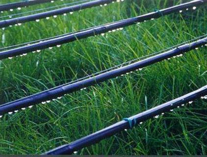 Los equipos de riego que ahorran agua se pueden utilizar para la ecologización